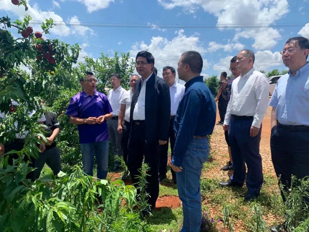 yth206��ͧ��(�й�)�ٷ���վ