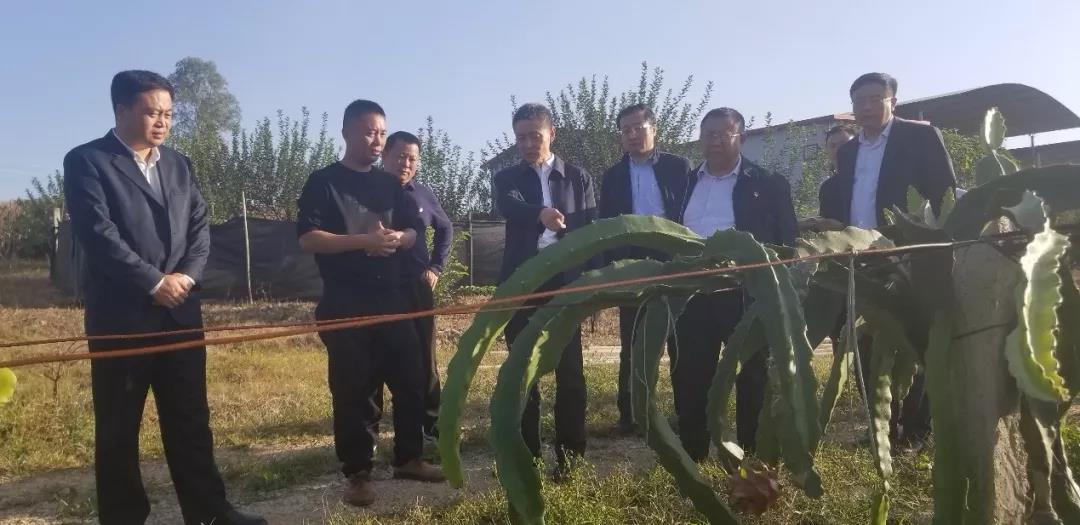 yth206游艇会(中国)官方网站