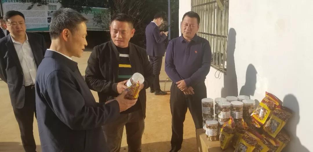 yth206游艇会(中国)官方网站