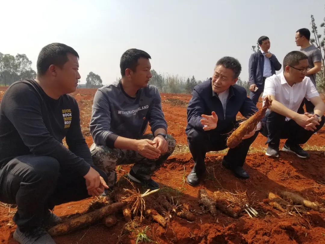 yth206游艇会(中国)官方网站